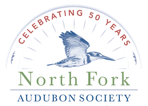 North+Fork+Aududon+Logo